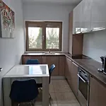 Sasu * Timisoara
