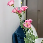Sasu Apartamento *