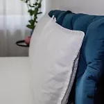 Sasu *