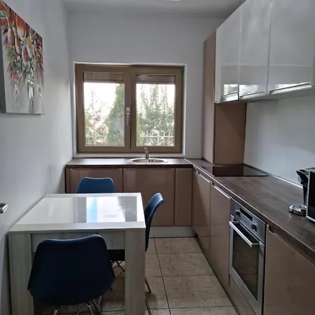 Sasu * Тімішоара