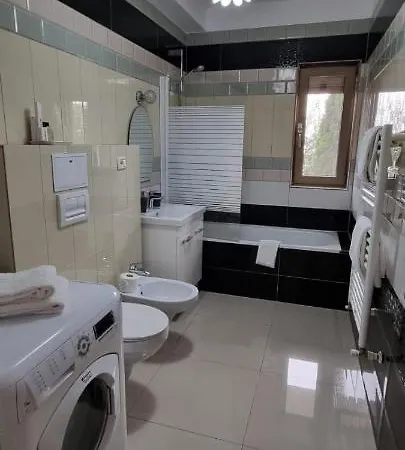 Sasu Apartment Timisoara