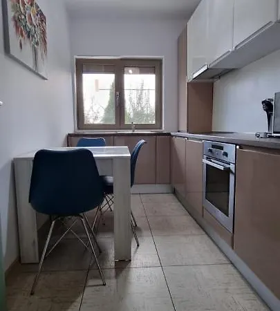 Sasu * Timisoara