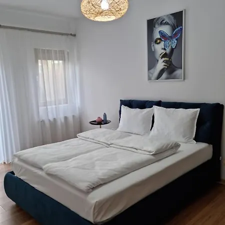 Sasu Timisoara