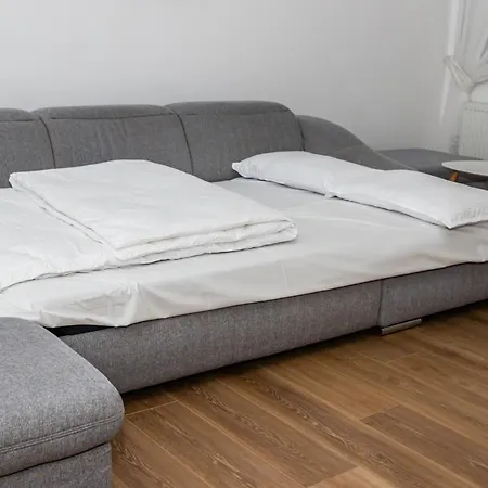 Sasu Тімішоара