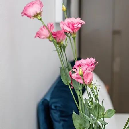 Sasu Апартаменти *