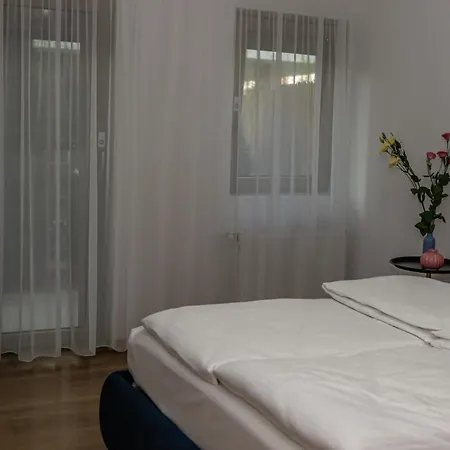 Sasu Apartment Timisoara
