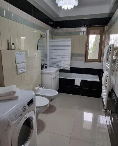 Sasu Apartment Timisoara